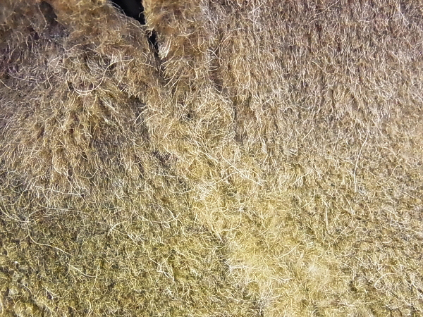 実際に弊社で買取させて頂いたBack Channel/バックチャンネル ウール厚手パーカー 茶/XLの画像 4枚目