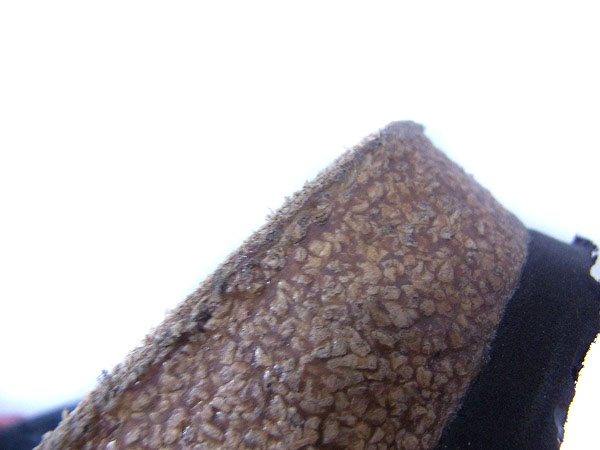 実際に弊社で買取させて頂いたBIRKENSTOCK/ビルケンシュトック ボストン フェルト素材 24.5の画像 7枚目