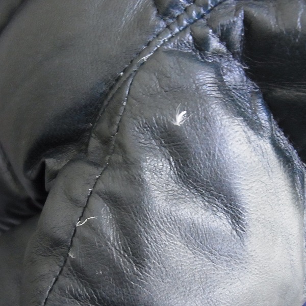 実際に弊社で買取させて頂いたdrestrip/ドレストリップ 鹿革/ディアスキン レザーダウンジャケット 1の画像 8枚目